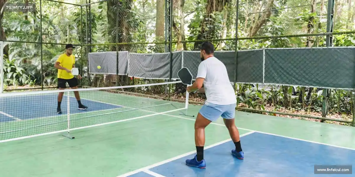 为什么选择我们